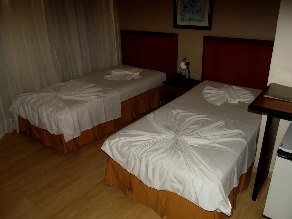 Geneviee Palace Hotel Понта Гроса Стая снимка