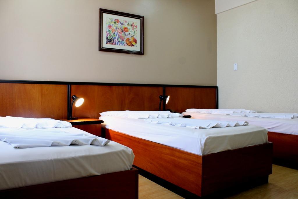 Geneviee Palace Hotel Понта Гроса Екстериор снимка